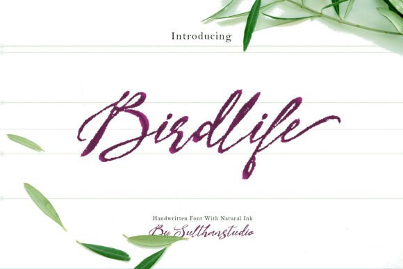 Bird Life: A Handwritten Font That Builds Brand Authenticity