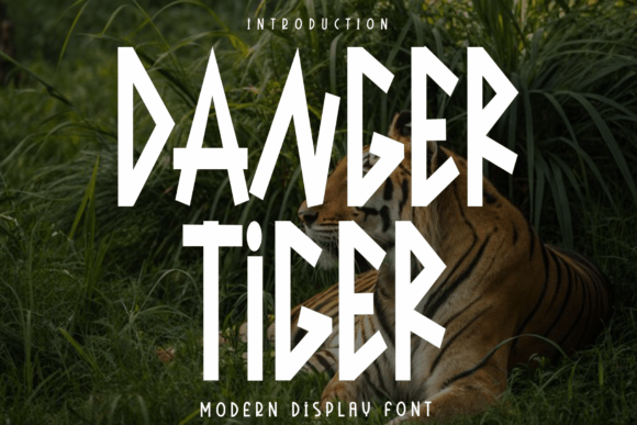 Discover Danger Tiger: A Versatile Script Font for Creative Branding