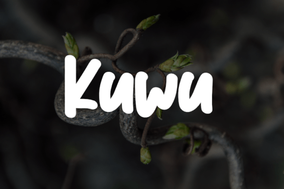 Discovering Kuwu: A Versatile Typeface for Editorial Design