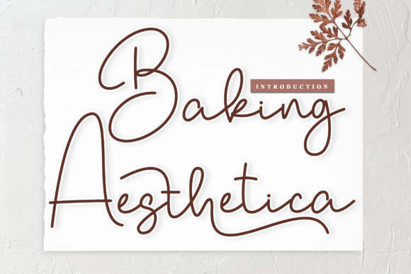 Enhance Your Campaigns with Baking Aesthetica Font