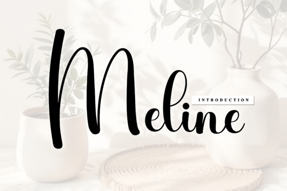 Enhancing Web Design with Meline: A Versatile Script Font